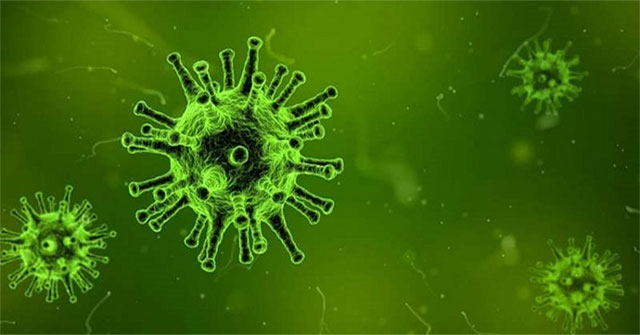 Tìm thấy protein "khắc tinh" của nhiều loại virus